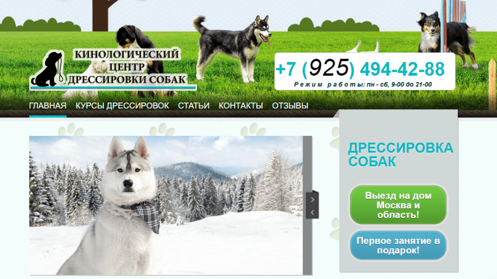 Скриншот с примером сайта услуг компании