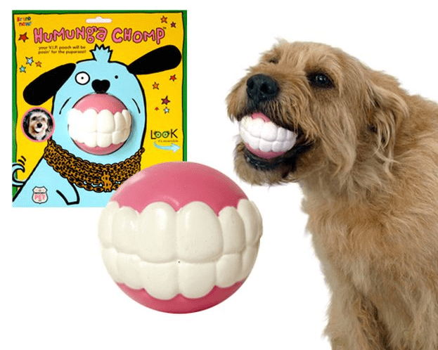 Пример товара: мячик для собак